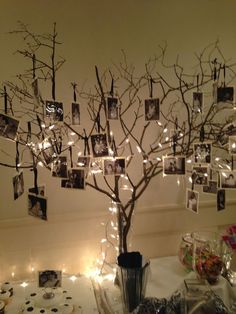 a tree with pictures hanging on it and some lights around the branches in front of it