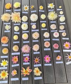 several different types of flowers displayed on a wooden table with labels in front of them