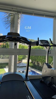 there is a gym with treadmills in front of the window and palm trees outside