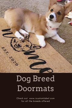 a dog laying on the floor next to a door mat that says dog breed doorsmats