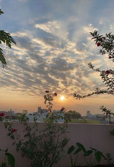 the sun is setting over some buildings and trees with red flowers in front of it