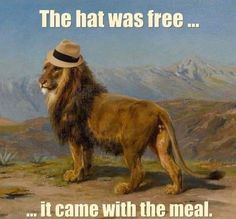 a lion wearing a hat standing in front of a painting with the caption, the hat was free it came with the meal