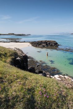 a person is standing in the water near some rocks and grass with pink flowers on it