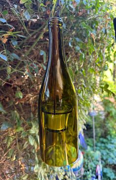 a wine bottle hanging from a tree outside