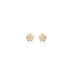 Carla Daisy Stud - 14K Yellow Gold Earrings 14K Yellow Gold Small Daisy Flower Earrings Measures: 0.265 inch wide x 0.265 inch long Jewelry Type: Stud Earrings, Daisy Earrings Metal: 14K Yellow Gold Made in the USA with a Lifetime Guarantee Carla Daisy Stud Earrings 14k Yellow Gold Flower Earrings For Anniversary, 14k Yellow Gold Flower Earrings Fine Jewelry, 14k Gold Pierced Flower Earrings For Anniversary, Yellow Gold Round Flower Earrings, 14k Yellow Gold Flower Earrings, Yellow Gold Flower Earrings In 14k, 14k Yellow Gold Round Flower Earrings, 14k White Gold Flower-shaped Earrings, Yellow Gold 14k Round Flower Earrings