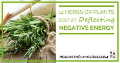 herbs on a table with text overlay that says, 12 herbs or plants best at reflecting negative energy