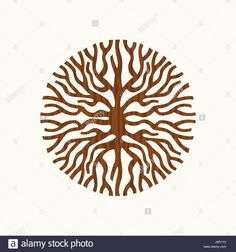 a tree with many branches in the shape of a circle, on a white background