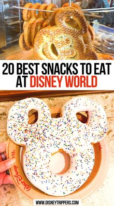 20 Best Snacks to Eat at Disney World Best Disney Snacks, Snacks To Eat, Disney World Packing, The Best Snacks, Dining Plan, Best Snacks, Snacks List, Refreshing Snacks, Disney World Food