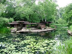 there is a small pond with water lilies in it and benches on the side