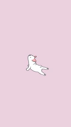 a white dog flying through the air on top of a pink background with text that reads,