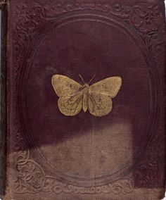 an old book with a yellow butterfly on it's cover and a red background