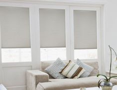 a living room filled with furniture and windows covered in cellular shades on top of them