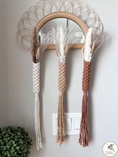 three feathers hanging on the wall next to a mirror