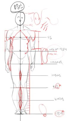 a drawing of a man's body with the names and numbers in red ink