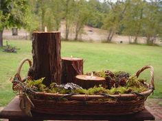 a basket filled with moss sitting on top of a wooden table next to a tree stump