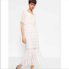 Nwt Zara Lace Lined Dress. Zara White, Zara Dresses, Lace Dress, Colorful Dresses, White Dress, Color White, Midi Dress, Zara, Womens Dresses