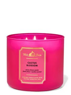 a pink candle that is sitting in front of a white background with the words cactus blossom on