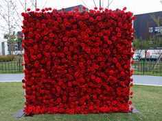 a large red flowered display in the grass