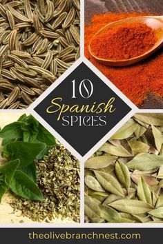 different types of spanish spices and herbs with text overlay that reads 10 spanish spices