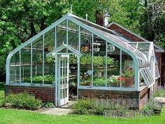 an old greenhouse with plants growing in it