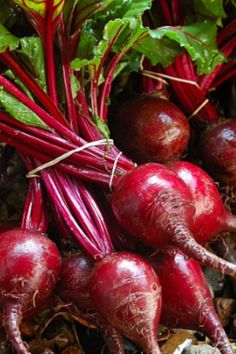 several beets are laying on the ground next to each other