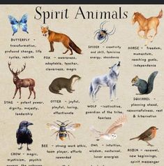 Spirit Guide Animals, Animals And Their Symbolism, Animals Spiritual Meanings, Animal Meanings Symbols, Squirrel Spirit Animal Meaning, Animal Tattoos And Their Meanings, Animals With Meaning, Zodiac Spirit Animals, Leo Spirit Animal