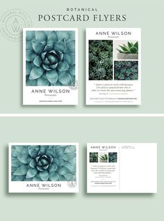 three postcard flyers with succulents on them, one is green and the other has blue flowers