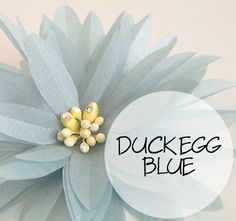 a close up of a flower with the words duckegg blue on it