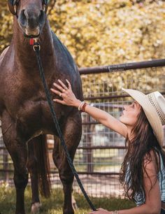 a woman is petting a horse in an enclosure