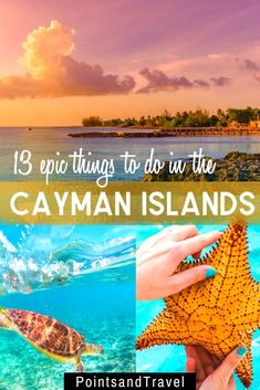 a person holding a starfish in the ocean with text overlay that reads 13 epic things to do in the cayman islands