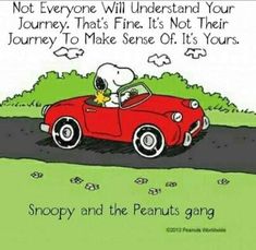 snoopy and the peanuts gang driving in a red convertible car with an open top