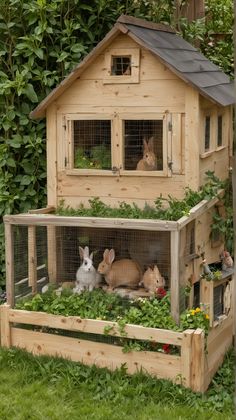 two rabbits are sitting in an outdoor rabbit house that is made out of wood and surrounded by greenery