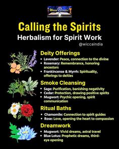 Spells And Potions, Herbal Education, Magickal Herbs, Witch Spirituality, Sacred Plant, Oh My Goddess, Magic Spell Book, Magic Herbs, Magical Herbs