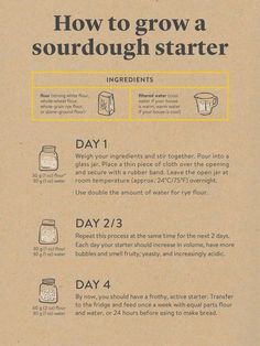 the instructions for how to grow a sourdough starter