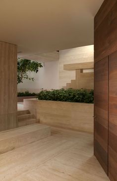 an empty room with stairs and plants on the wall next to it, in front of a wooden door