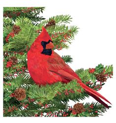 a red bird sitting on top of a pine tree