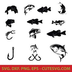 various types of fish and fishing lures on a white background with red border around the edges