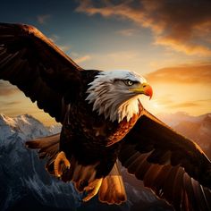 an eagle flying in the air with mountains in the background and clouds above it at sunset