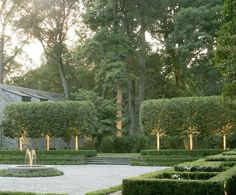 an outdoor garden with hedges and water fountain in the center, surrounded by large trees