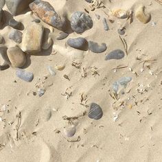 rocks and sand on the beach with small shells scattered around them, including one in the foreground