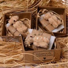 three small teddy bears are sitting in some brown boxes