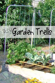 garden trelliss with plants growing in them and the words diy garden trelliss