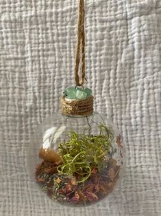 a glass ornament filled with dirt and plants