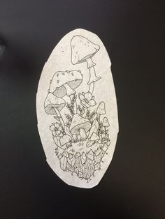 a drawing of mushrooms and plants in an egg shell on a black surface with white paper