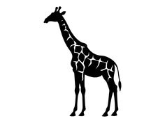 a black and white giraffe silhouette on a white background