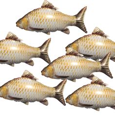 five gold fish are shown in this image