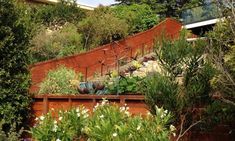 an outdoor garden with lots of plants and flowers on the side of a hill next to stairs