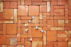 several small white birds sitting on top of a red brick wall with smaller white ones