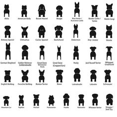 the silhouettes of dogs and their names