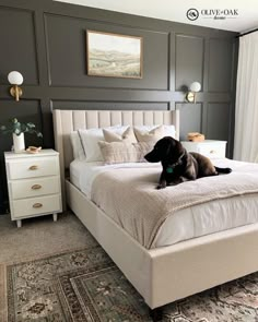 a dog sitting on top of a bed in a room with gray walls and white furniture